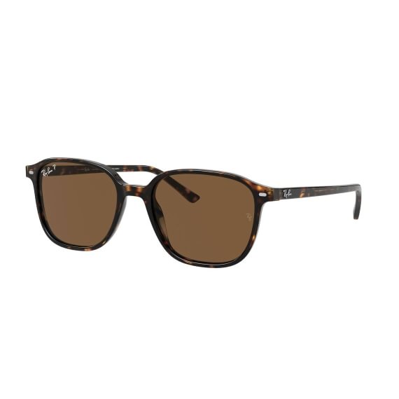 Ray-Ban Leonard RB2193 902/57 53