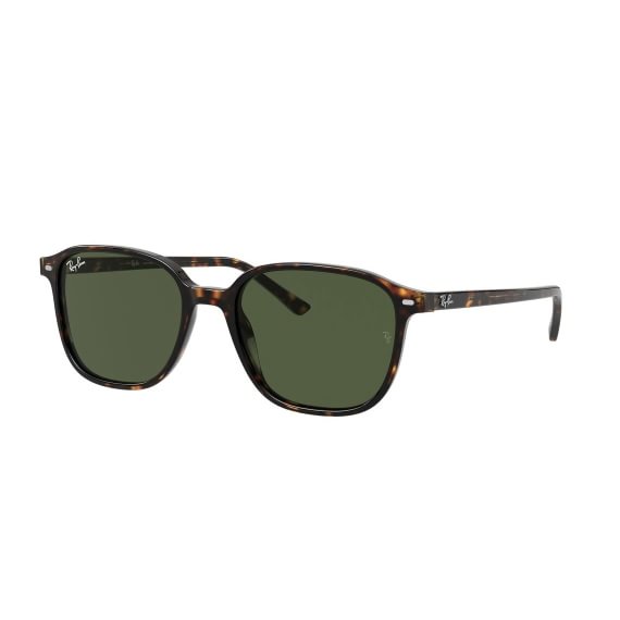 Ray-Ban Leonard RB2193 902/31 53