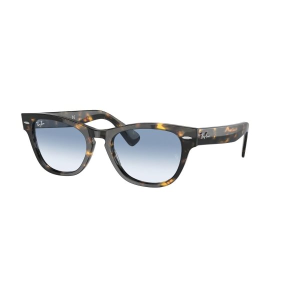 Ray-Ban Laramie RB2201 13323F 5420