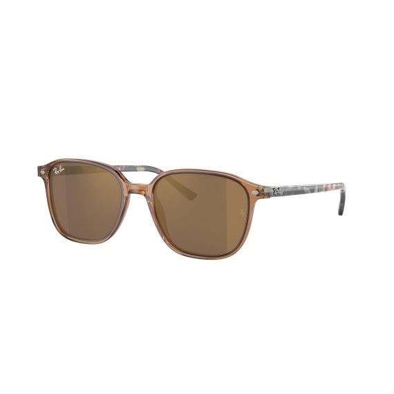 Ray-Ban Leonard RB2193 663693 5318