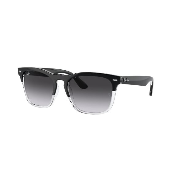 Ray-Ban Steve RB4487 66308G 5418