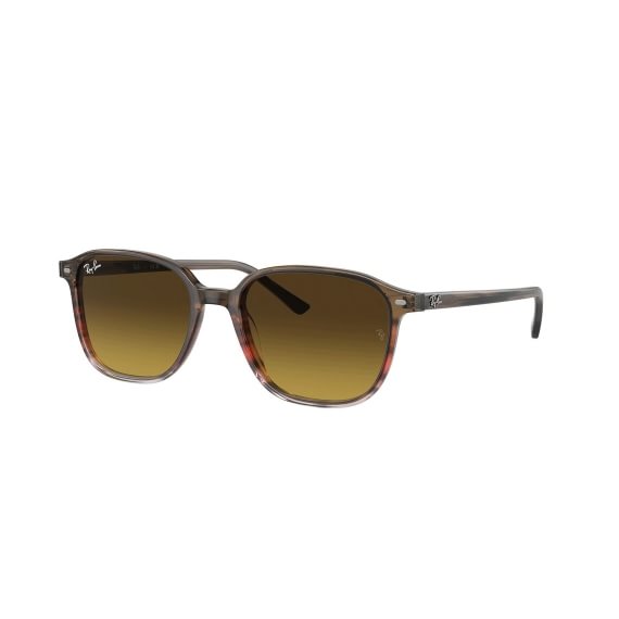 Ray-Ban Leonard RB2193 138085 5118