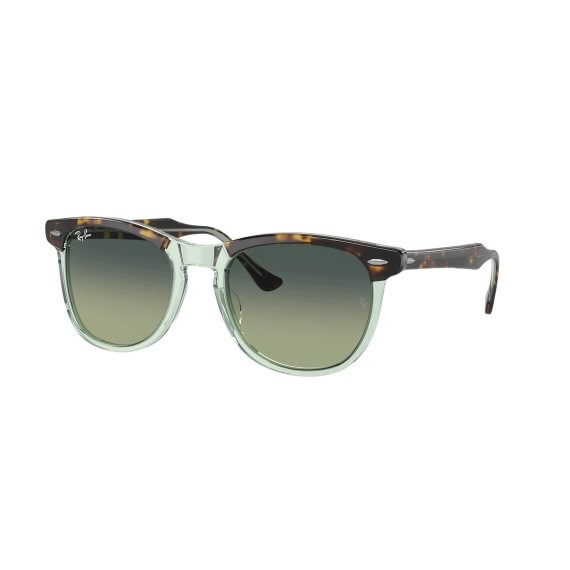 Ray-Ban Eagleeye