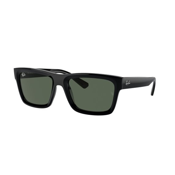 Ray-Ban Warren RB4396 667771 5720