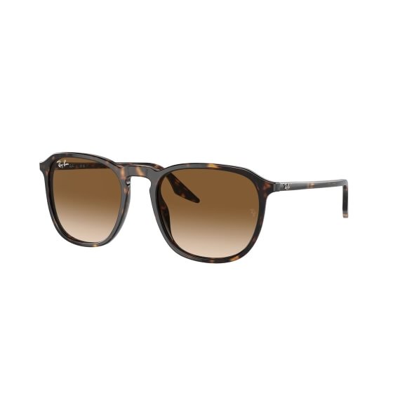 Ray-Ban RB2203 902/51 5520