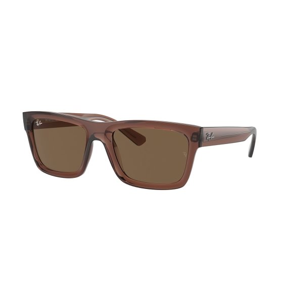 Ray-Ban Warren RB4396 667873 5420