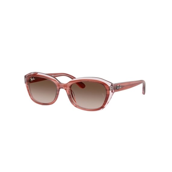 Ray-Ban Junior RJ9081S 717313 4817