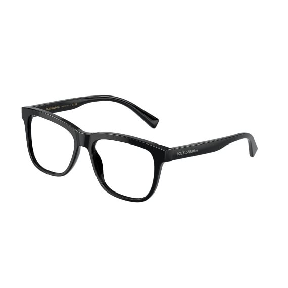Dolce & Gabbana DX3356 501 5115