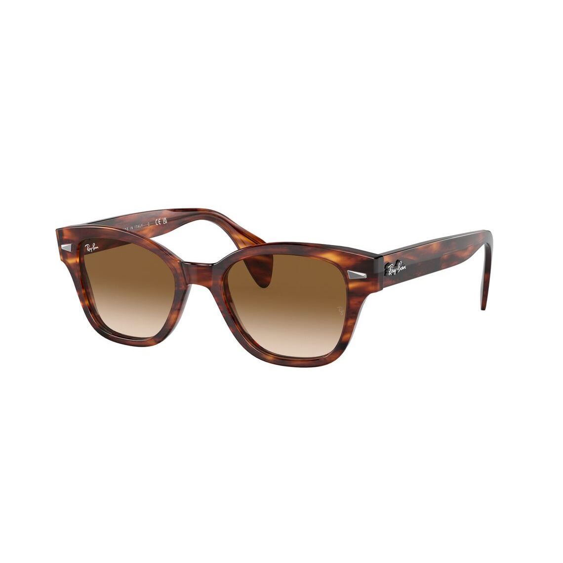 Ray-Ban RB0880S 954/51 5219