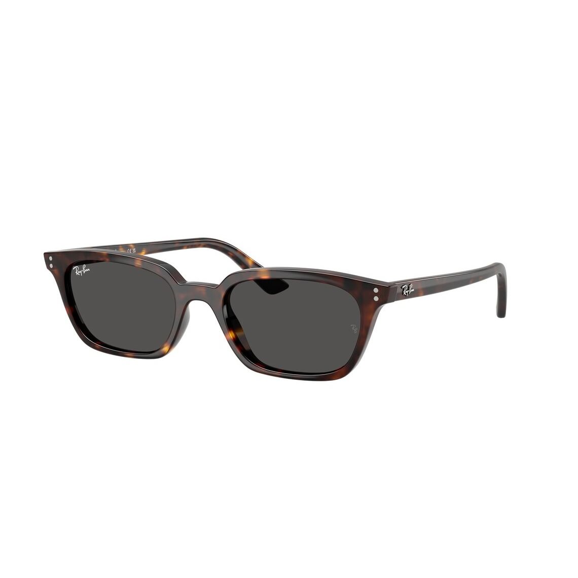 Ray-Ban Zaya RB4456 135987 5319